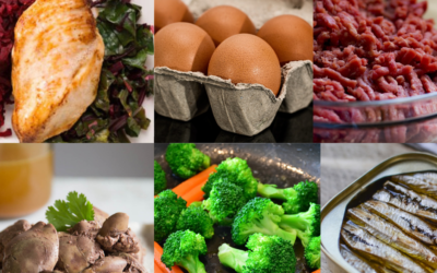 Nutritional Philosophy