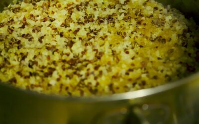 Carbs Part Two:Fiber