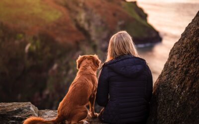 Working with Animals – getting started