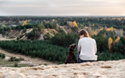 Healing Animals…heals us, and the earth