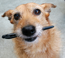 dog_with_pen_225