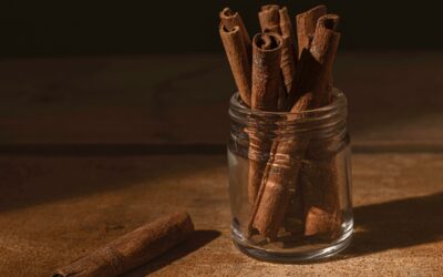 Cinnamon for Dogs