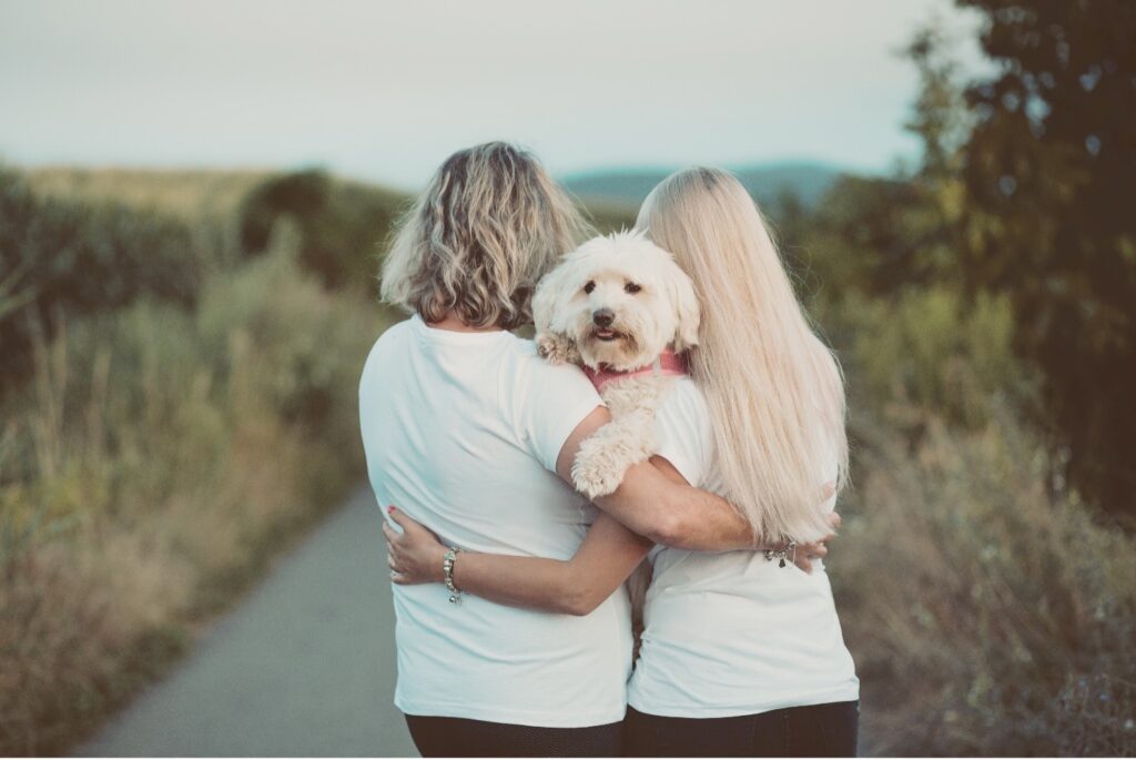 A couple holding a dog between them