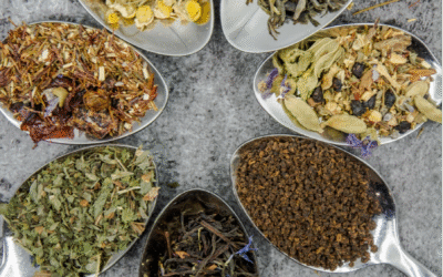 The Importance of Nutrients in a Home-made Diet