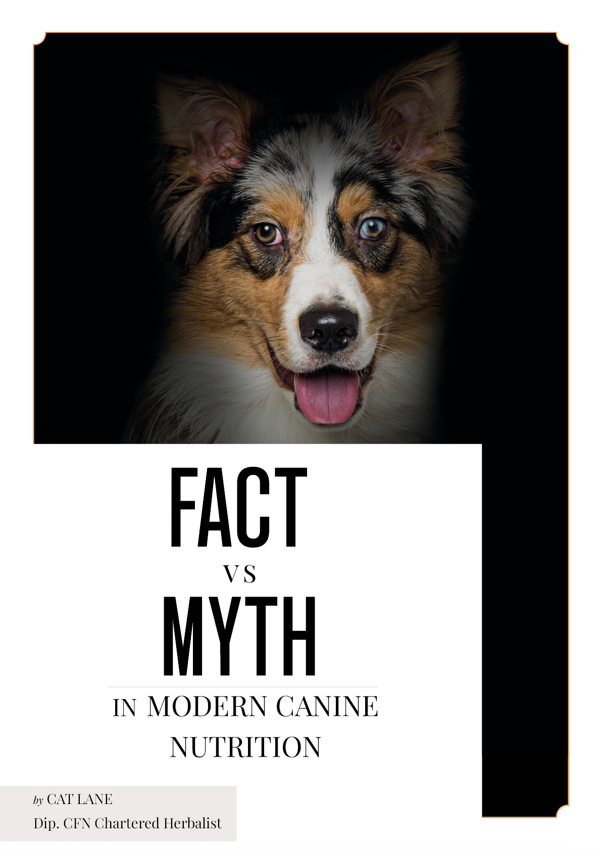 myths-book-cover2 Fact vs Myth - book cover