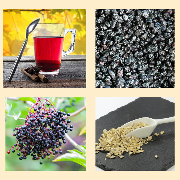 collage bilberry