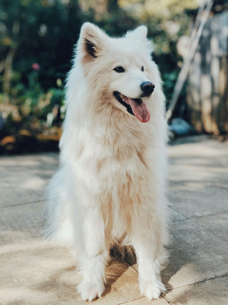 lui peng ybHtKz5He9Y unsplash scaled cropped
