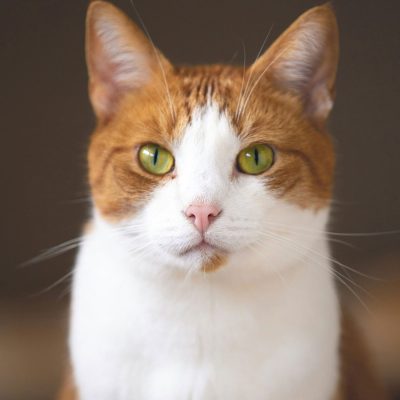 zoe gayah jonker G7kUPmzi80E unsplash scaled cropped