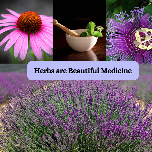 Collage showing various herbs